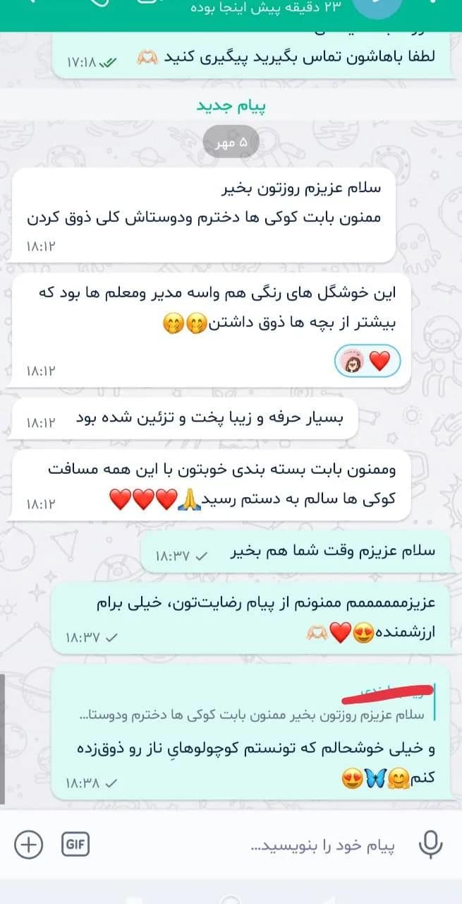 اسکرینشات نظر زینب